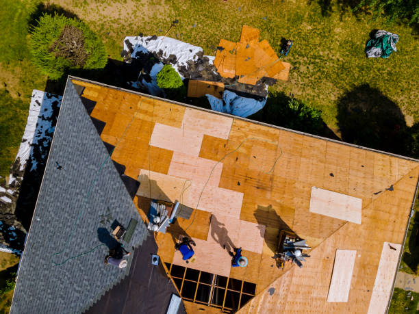 Quick and Trustworthy Emergency Roof Repair Services in Bradenton, FL